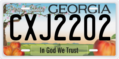 GA license plate CXJ2202