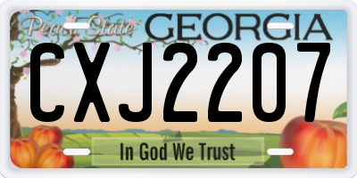 GA license plate CXJ2207