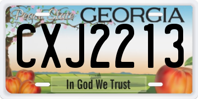 GA license plate CXJ2213
