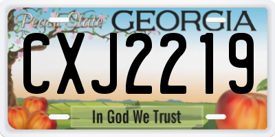 GA license plate CXJ2219