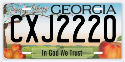 GA license plate CXJ2220