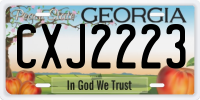 GA license plate CXJ2223