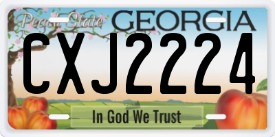 GA license plate CXJ2224