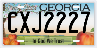 GA license plate CXJ2227