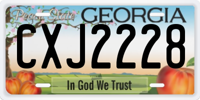 GA license plate CXJ2228