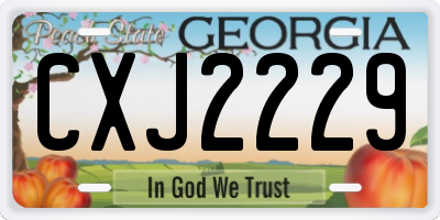 GA license plate CXJ2229