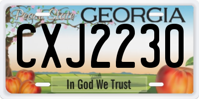 GA license plate CXJ2230