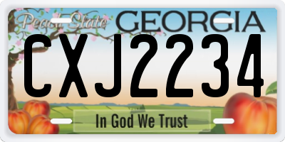 GA license plate CXJ2234