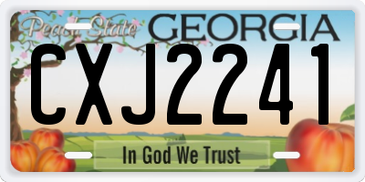 GA license plate CXJ2241