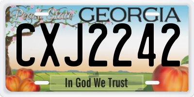 GA license plate CXJ2242