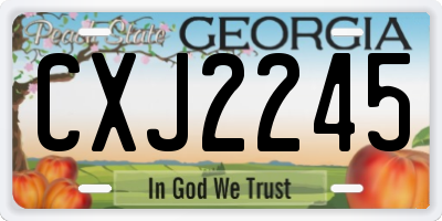 GA license plate CXJ2245