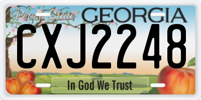 GA license plate CXJ2248