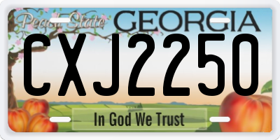 GA license plate CXJ2250