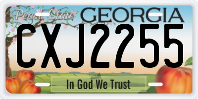 GA license plate CXJ2255