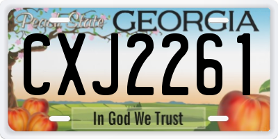 GA license plate CXJ2261