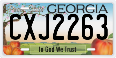 GA license plate CXJ2263