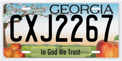 GA license plate CXJ2267