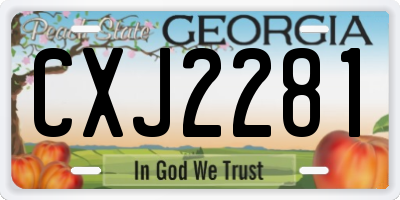 GA license plate CXJ2281