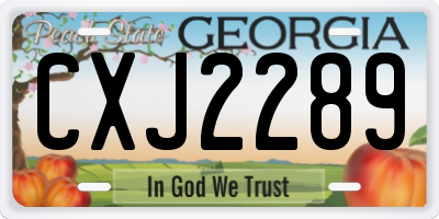 GA license plate CXJ2289