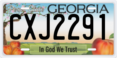 GA license plate CXJ2291
