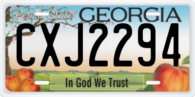 GA license plate CXJ2294