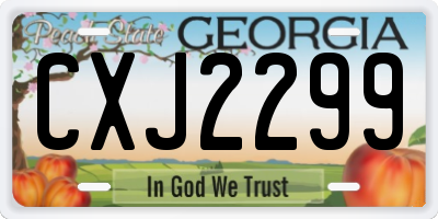 GA license plate CXJ2299