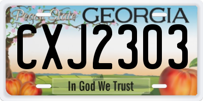GA license plate CXJ2303