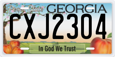 GA license plate CXJ2304