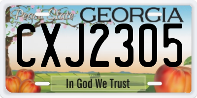 GA license plate CXJ2305