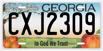 GA license plate CXJ2309