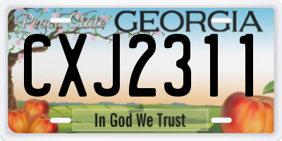 GA license plate CXJ2311