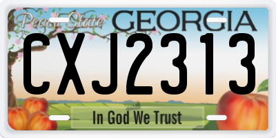 GA license plate CXJ2313
