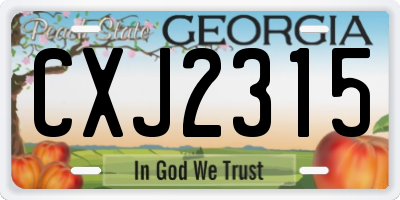 GA license plate CXJ2315
