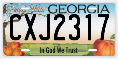 GA license plate CXJ2317