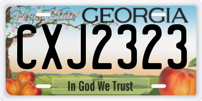 GA license plate CXJ2323
