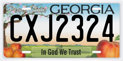 GA license plate CXJ2324