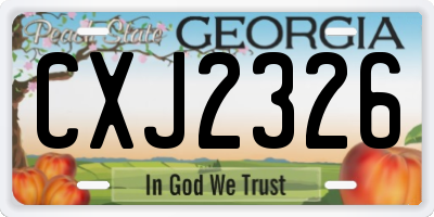 GA license plate CXJ2326