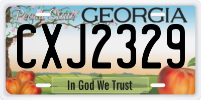 GA license plate CXJ2329