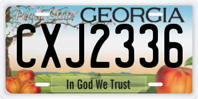 GA license plate CXJ2336