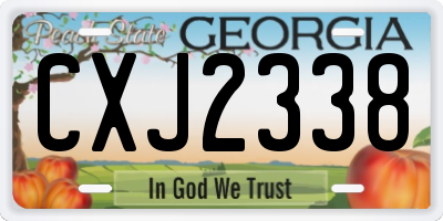GA license plate CXJ2338