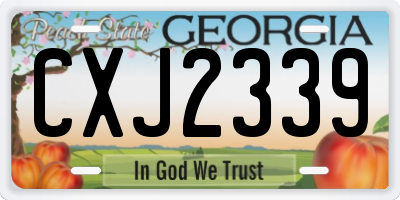 GA license plate CXJ2339
