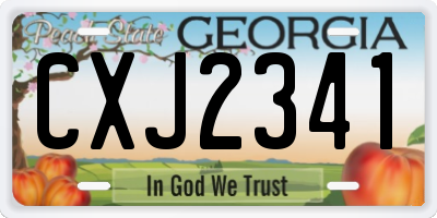 GA license plate CXJ2341