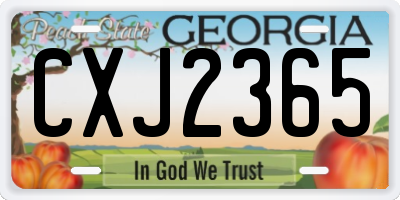 GA license plate CXJ2365
