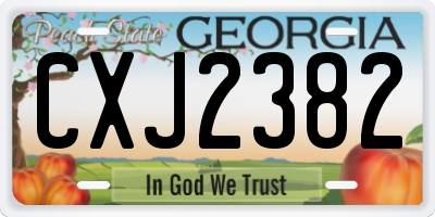 GA license plate CXJ2382