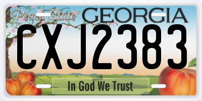 GA license plate CXJ2383