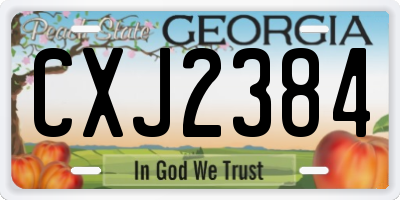 GA license plate CXJ2384