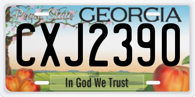 GA license plate CXJ2390