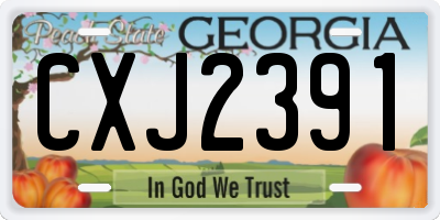 GA license plate CXJ2391