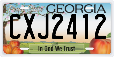GA license plate CXJ2412