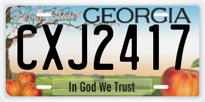 GA license plate CXJ2417